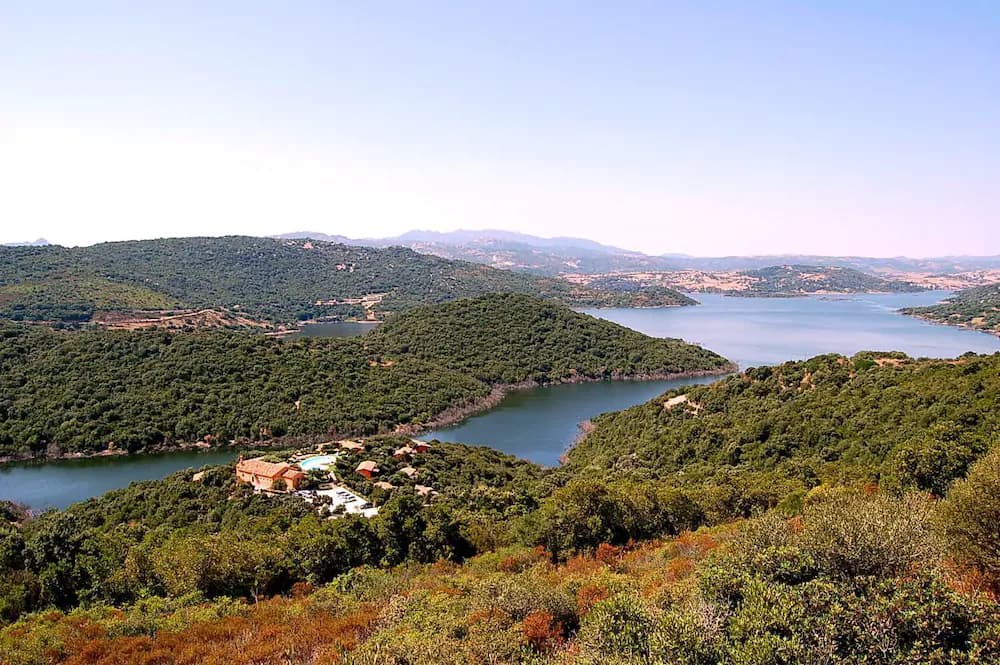 Lake view