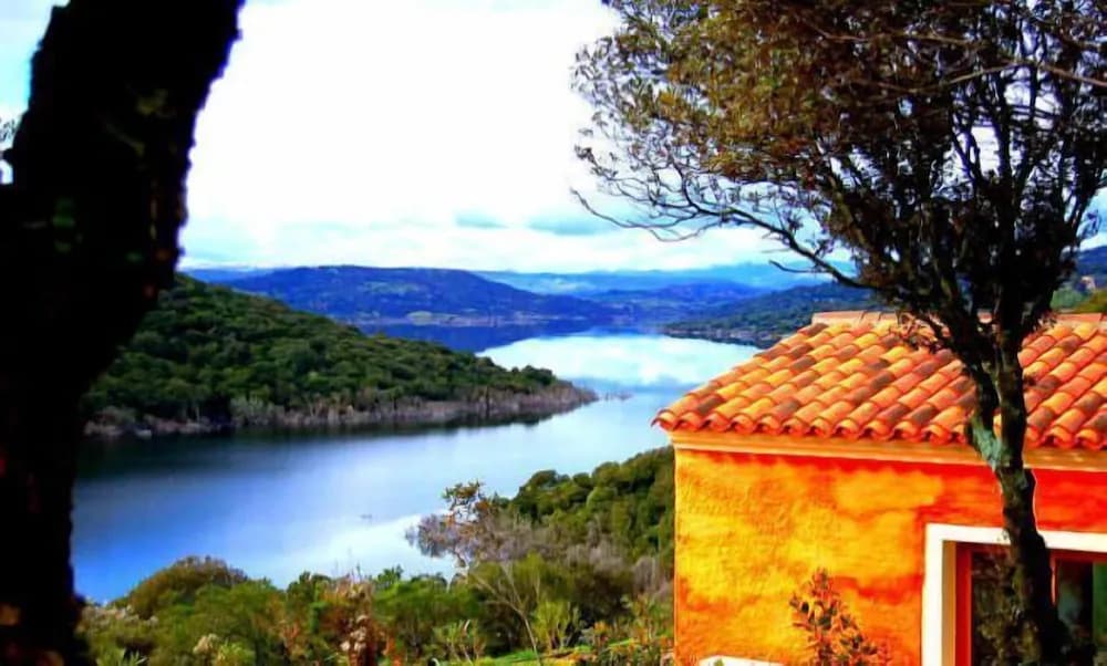 Lake view