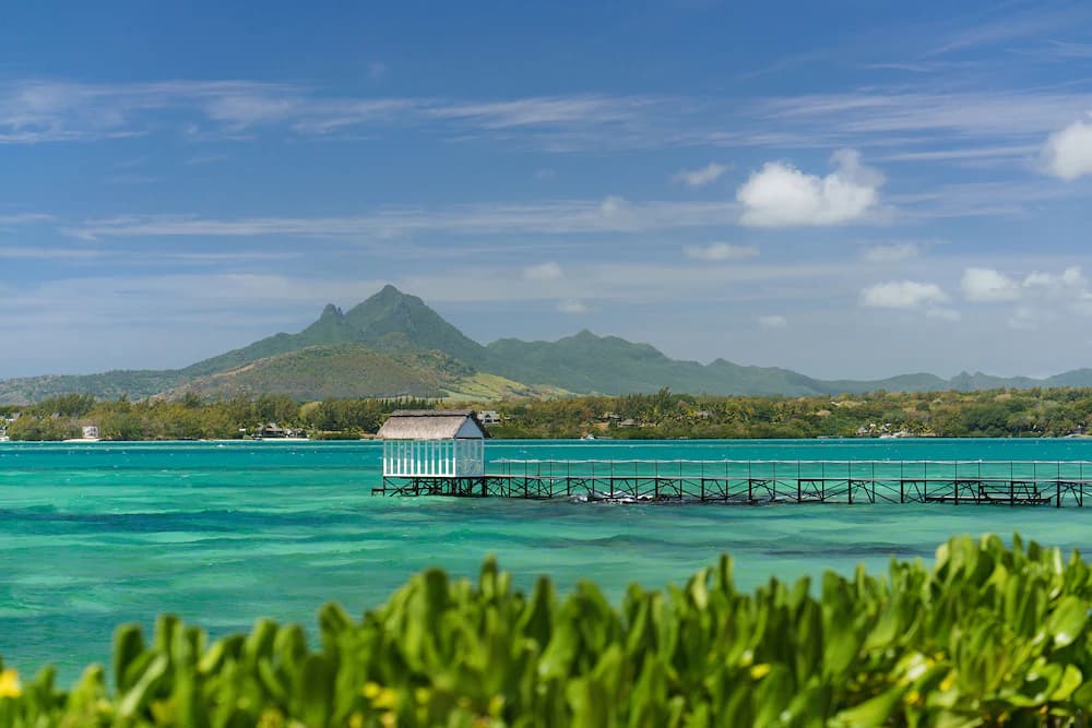 Dock