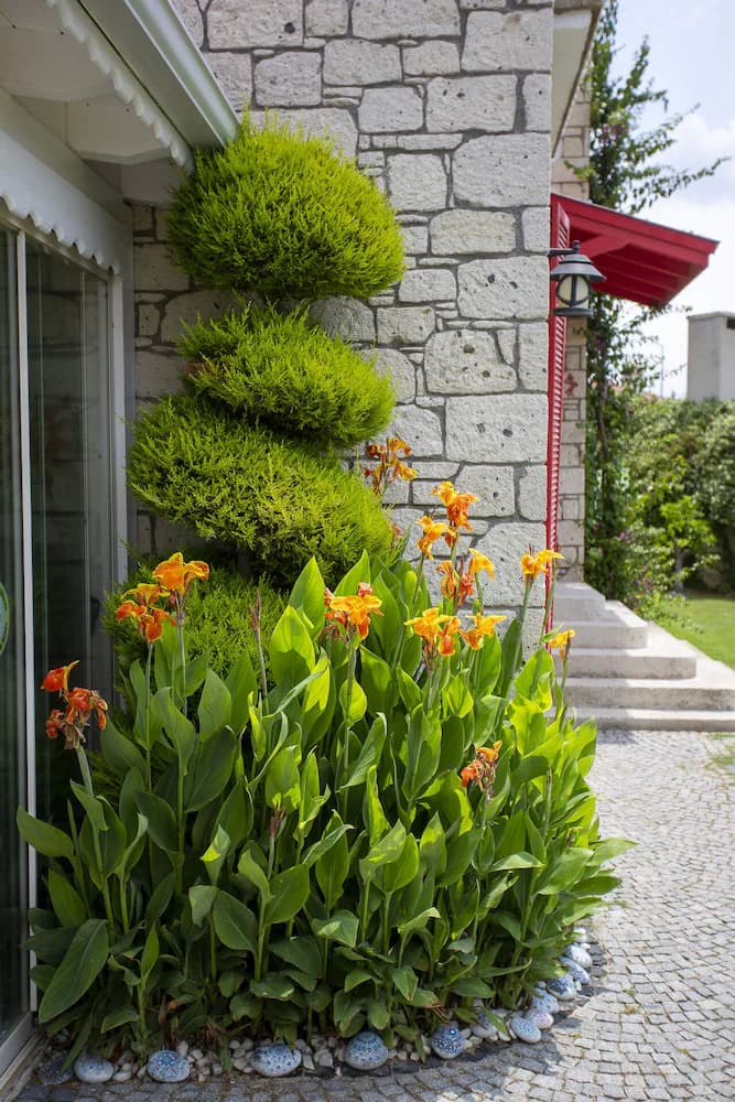 Garden view