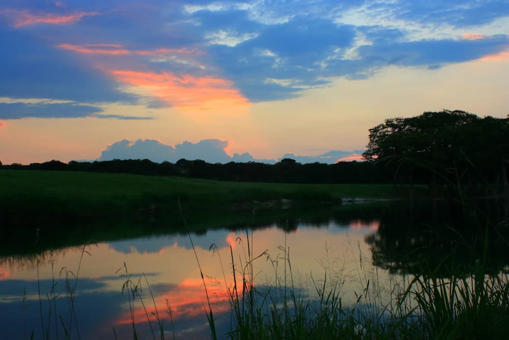 View from property