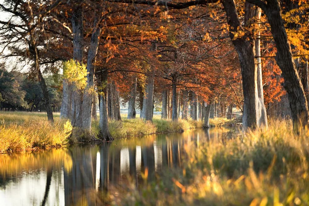 Lake