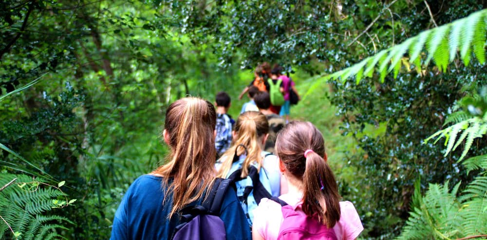 Hiking