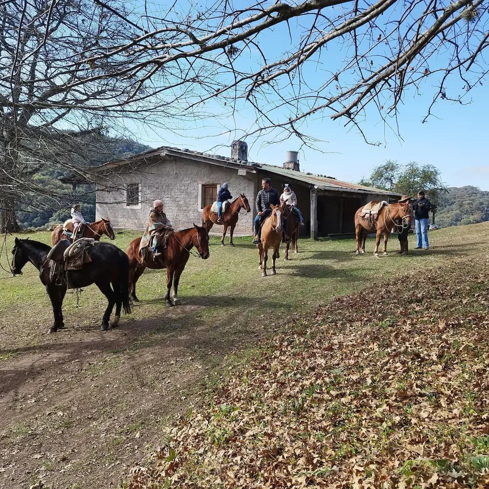 Horseback riding