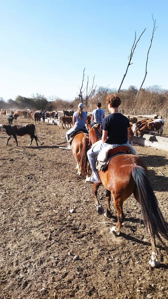 Horseback riding