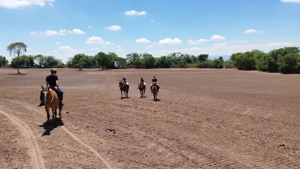 Horseback riding
