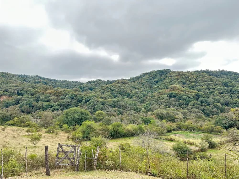Hiking