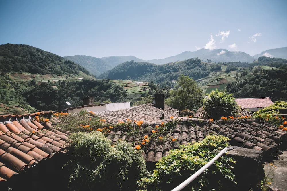 View from property