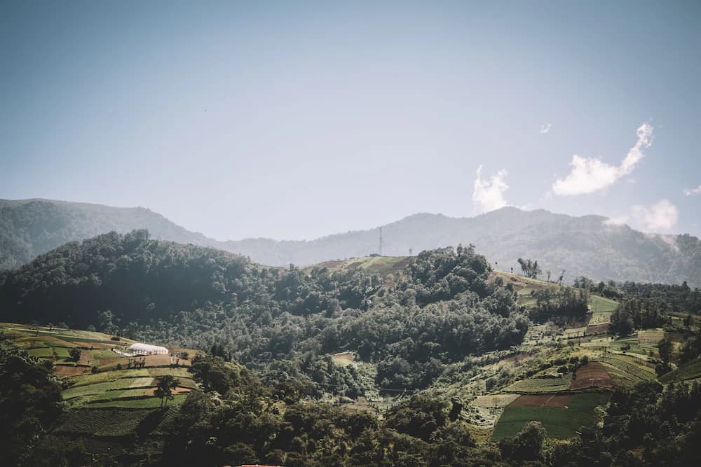 Mountain view