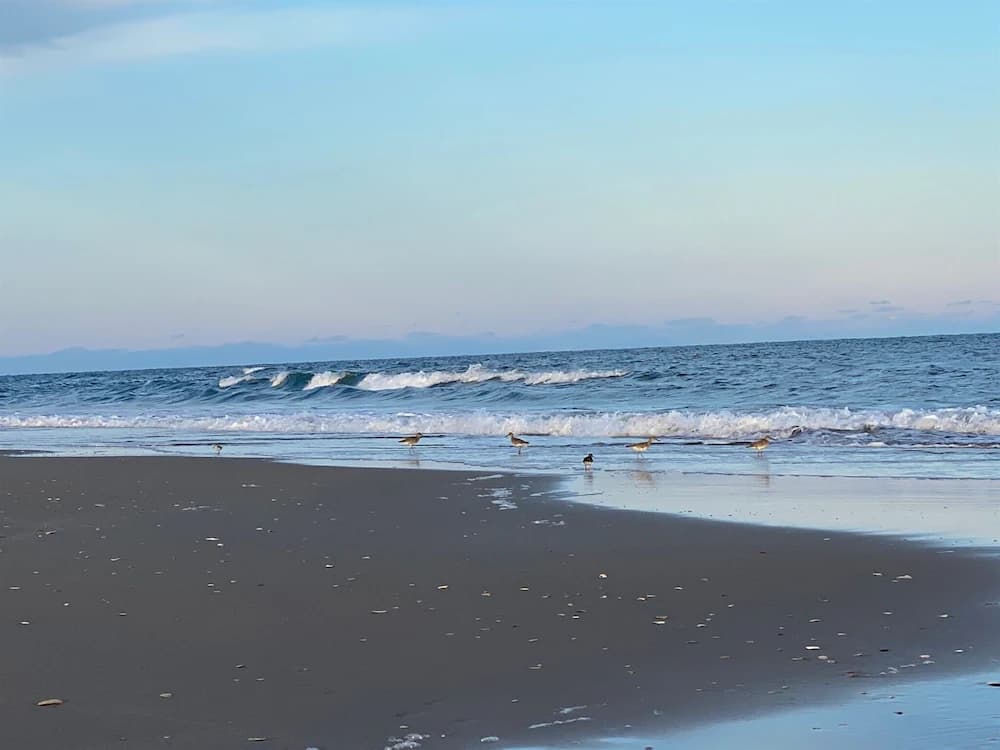 Beach