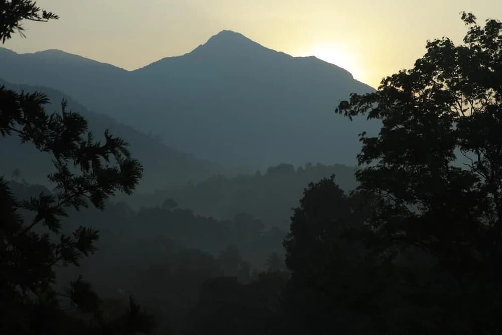 View from property