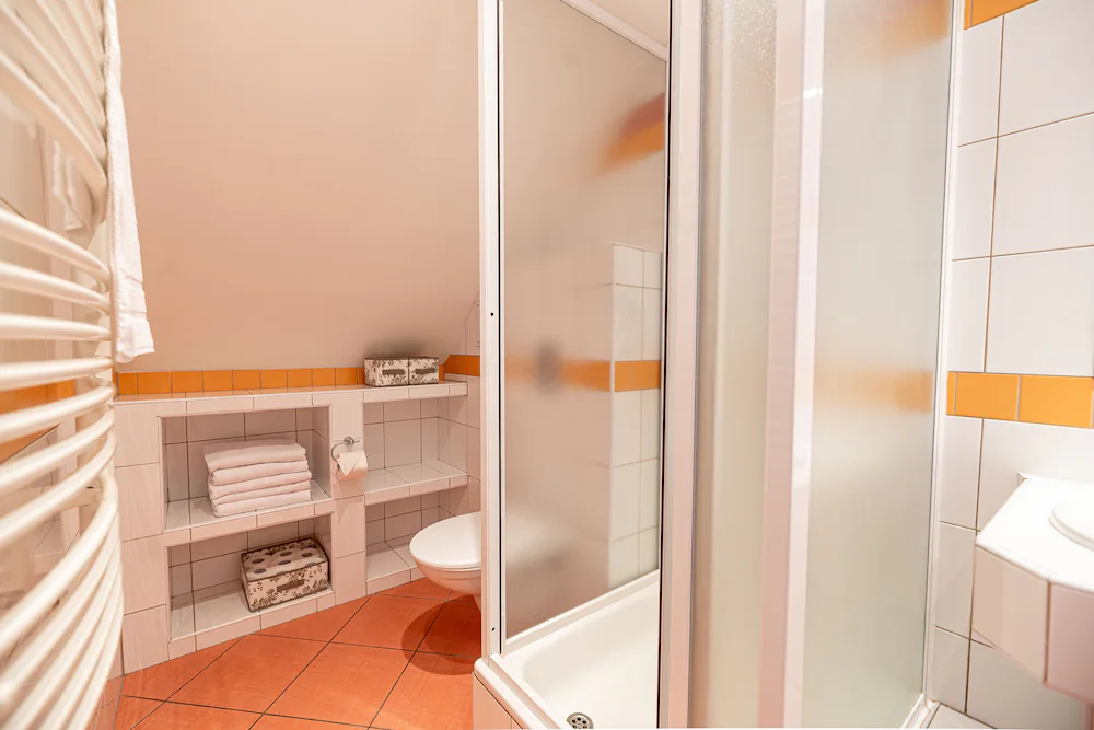 Bathroom shower