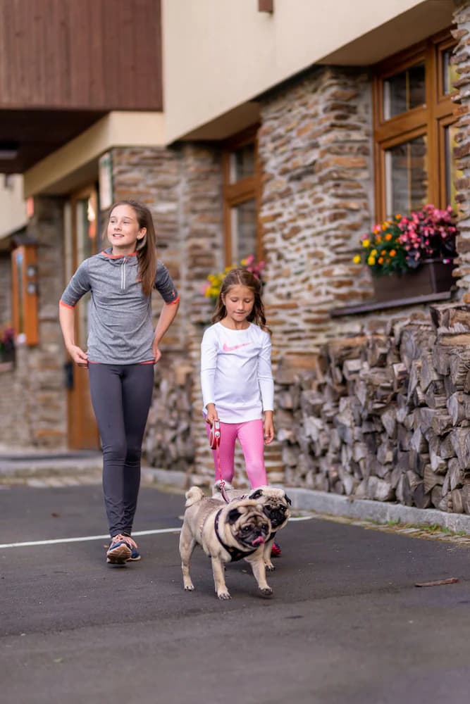 Pet-friendly
