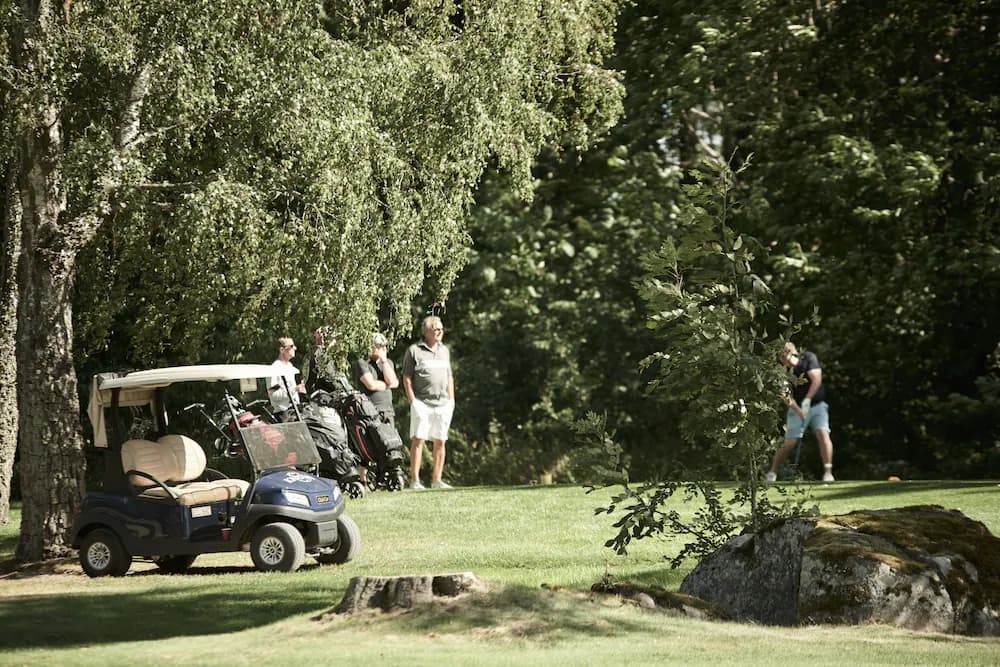 Golf cart