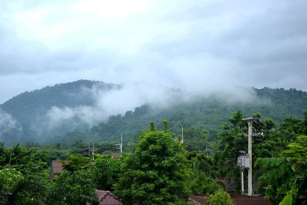 View from property