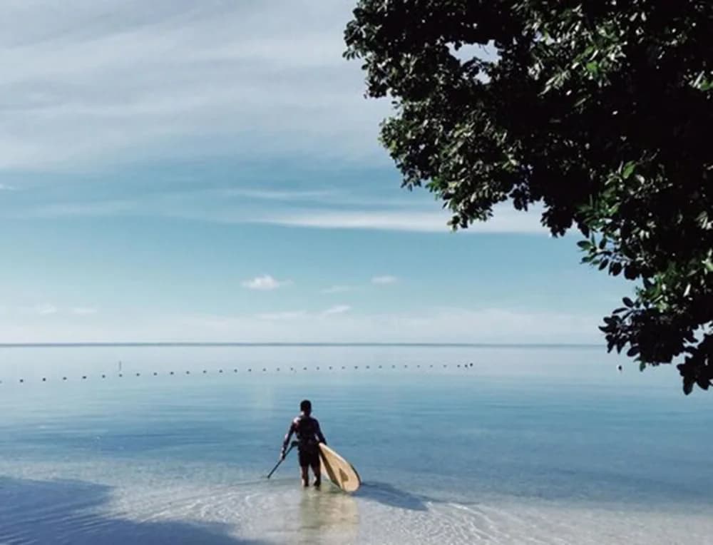 Surfing/boogie boarding
