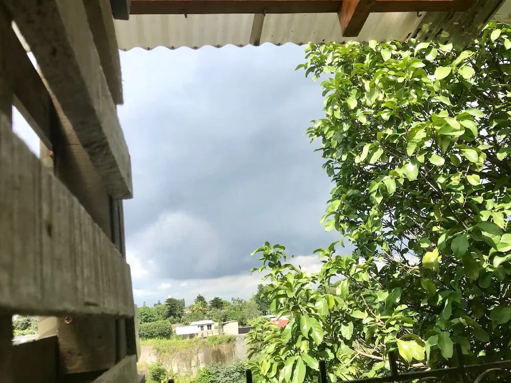 View from room
