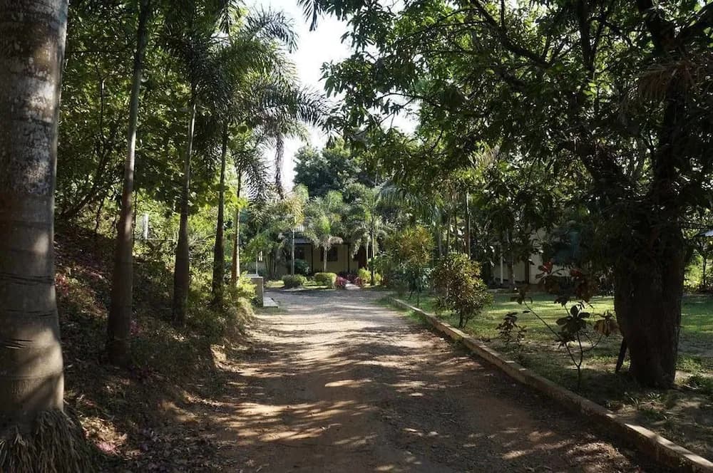 Property grounds