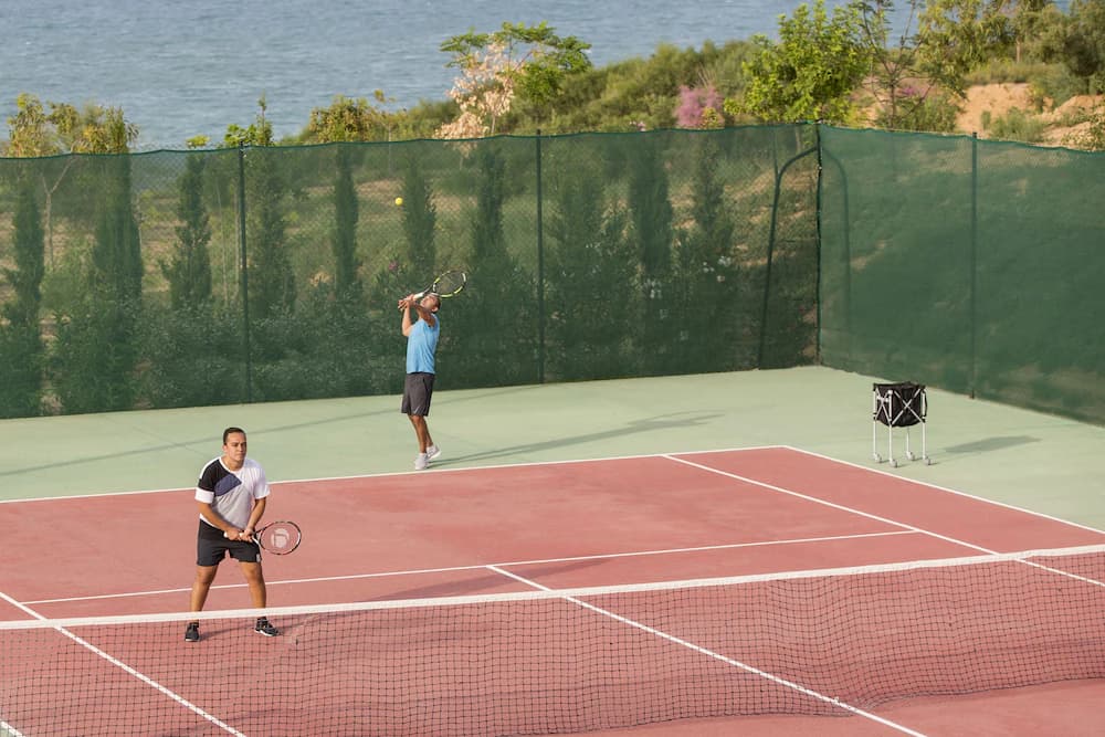 Tennis court