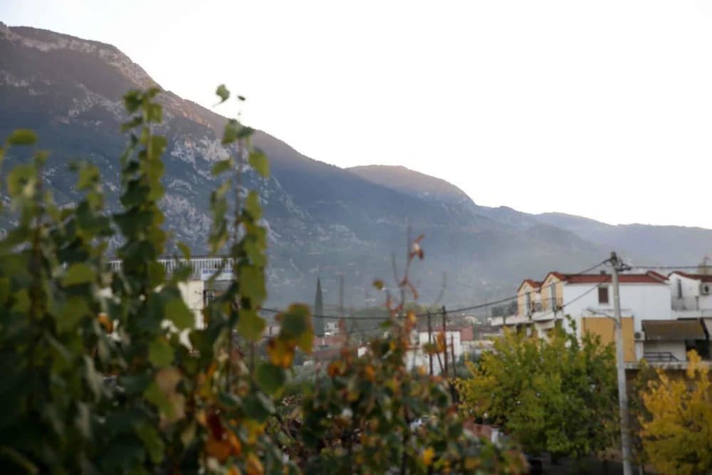 Mountain view