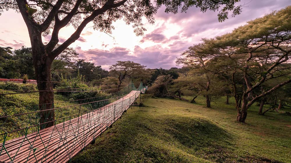 Land view from property