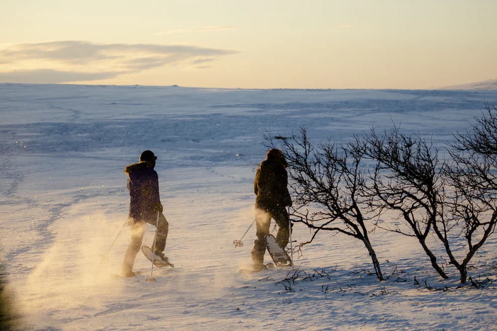Snowshoeing