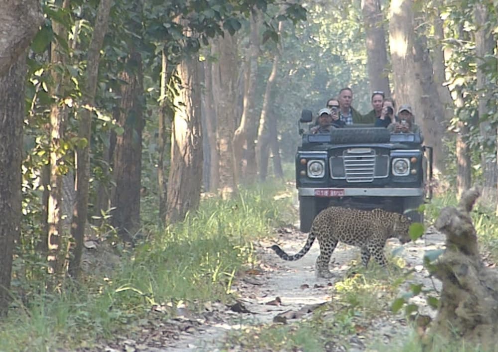 Game drive