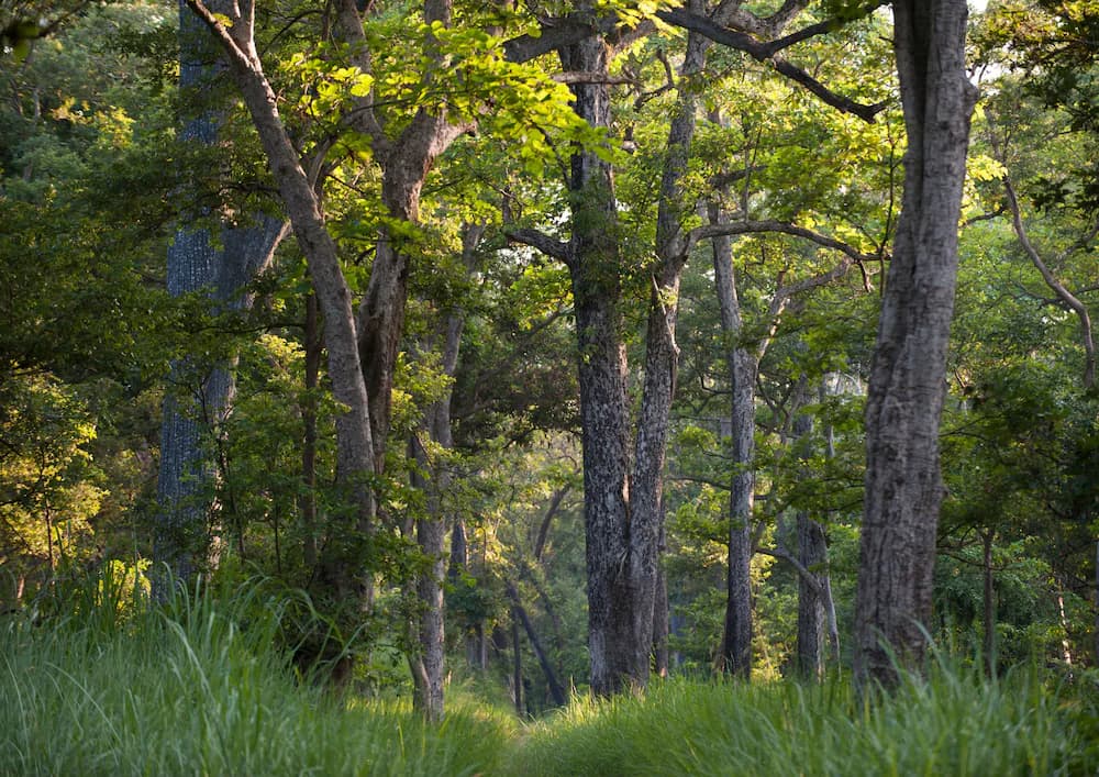 Land view from property