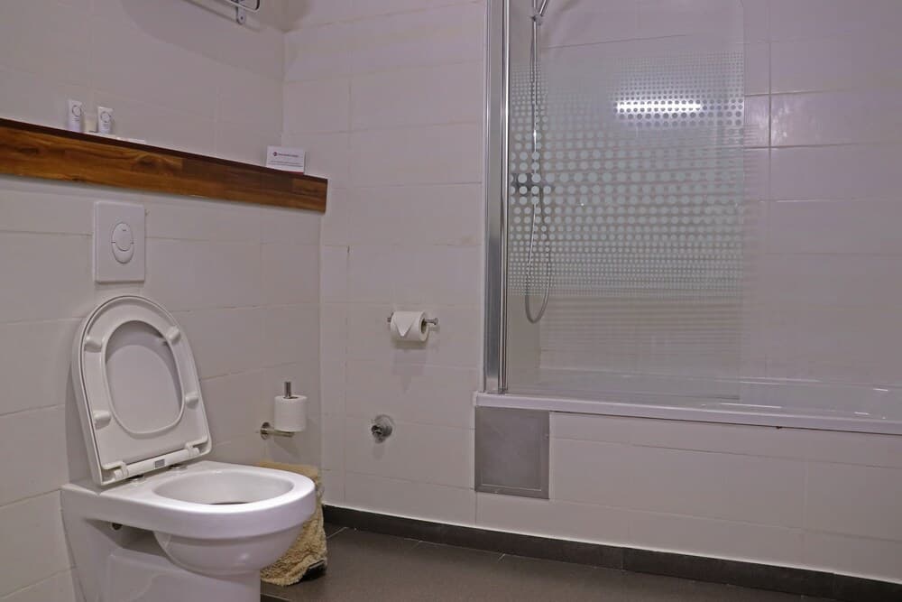 Bathroom shower