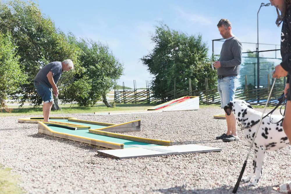 Mini-golf