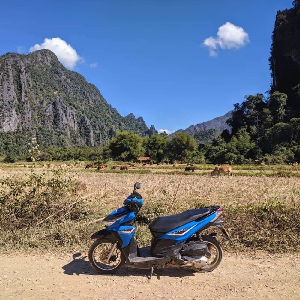 Scooter/moped