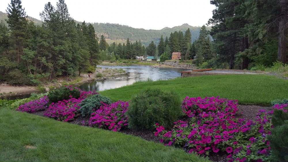 View from property
