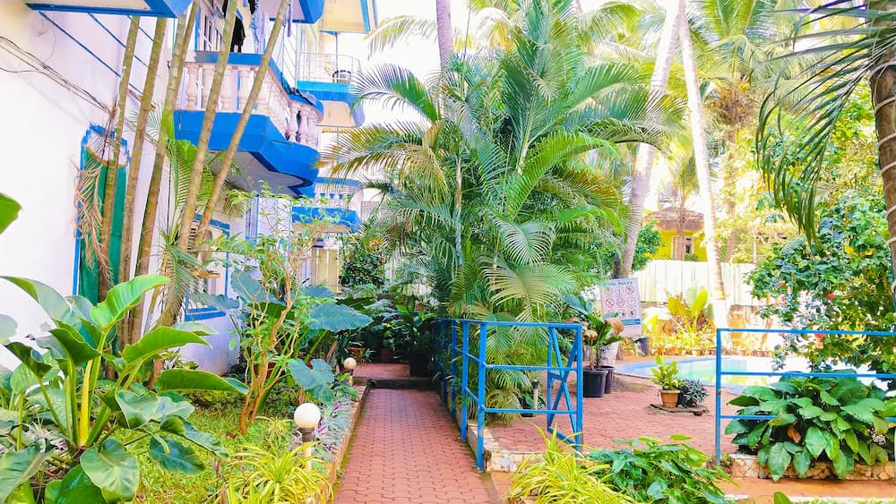 Garden