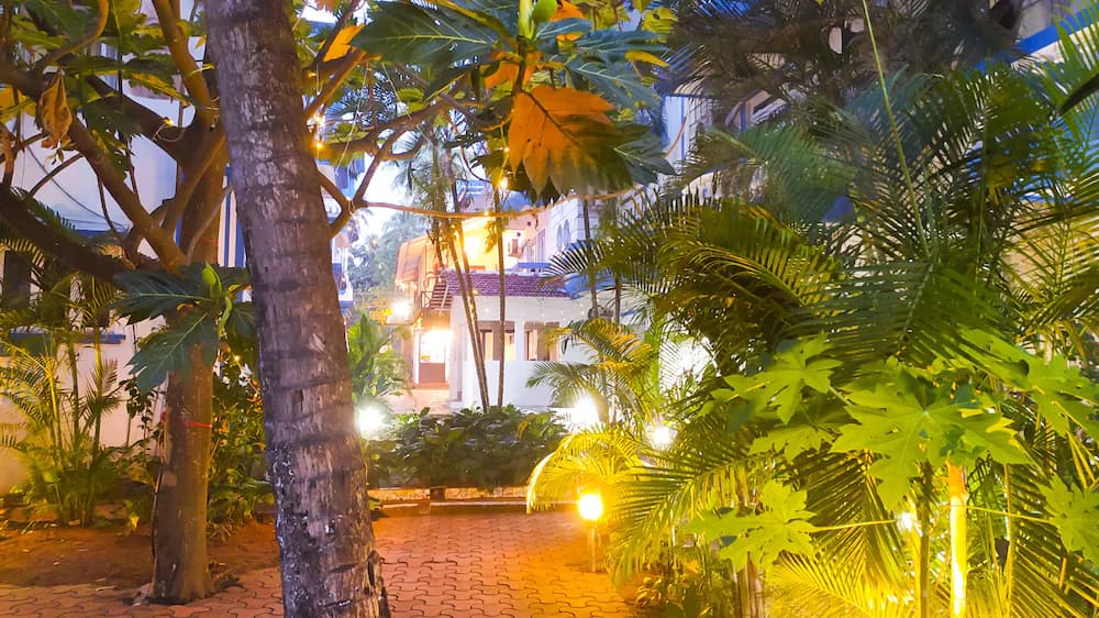 Garden view