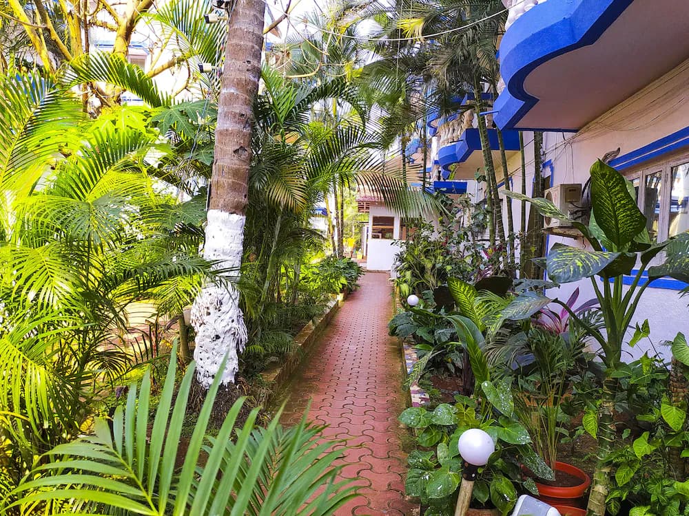 Garden