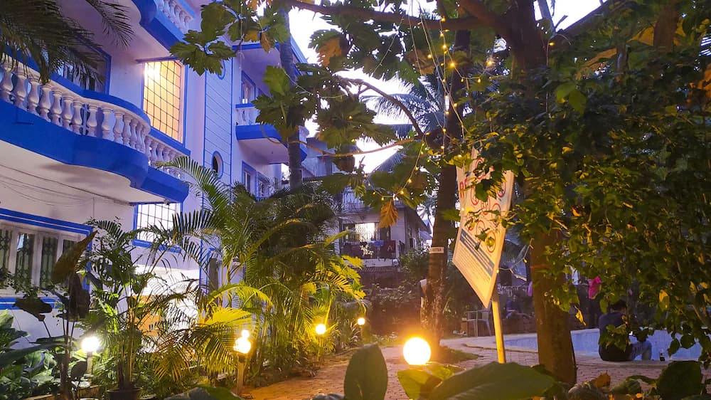 Garden view
