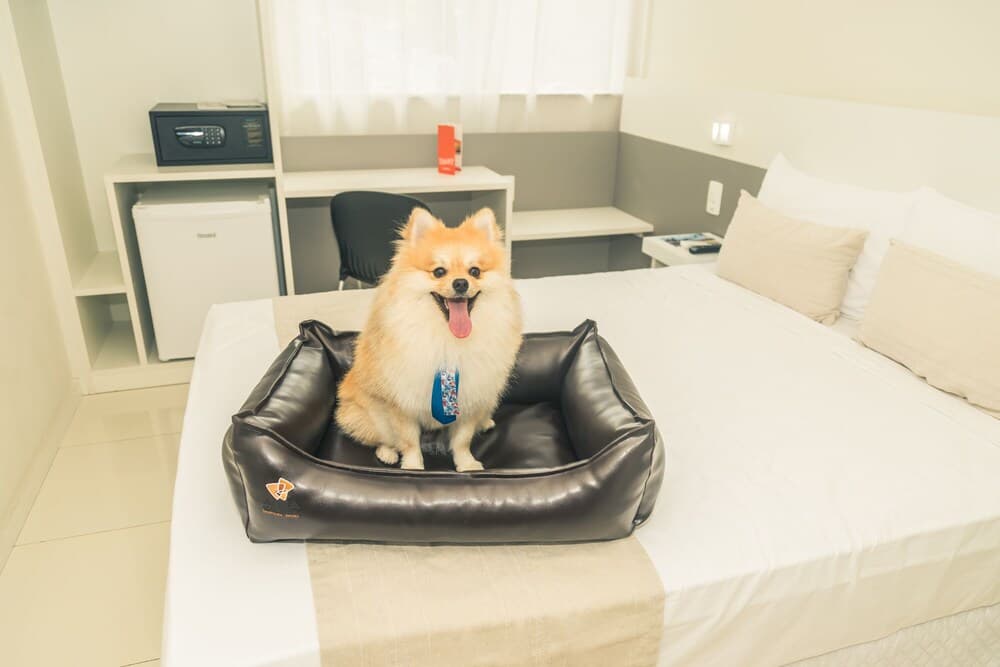 Pet-friendly