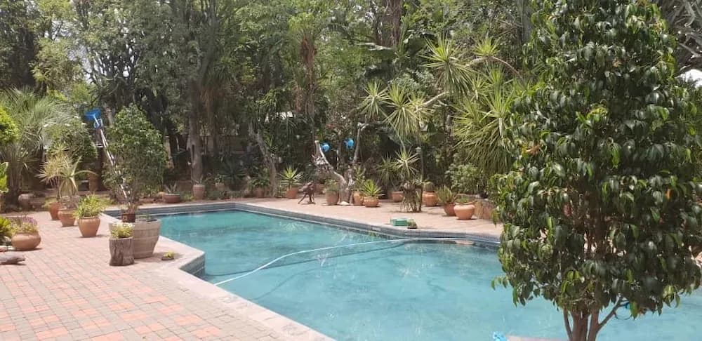 Garden view