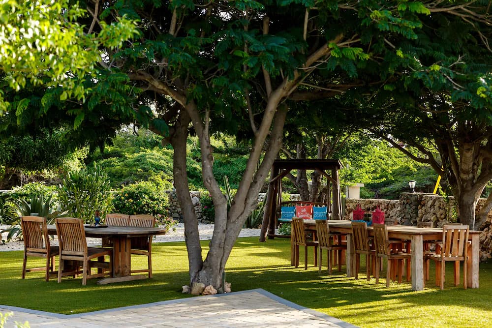 Garden view