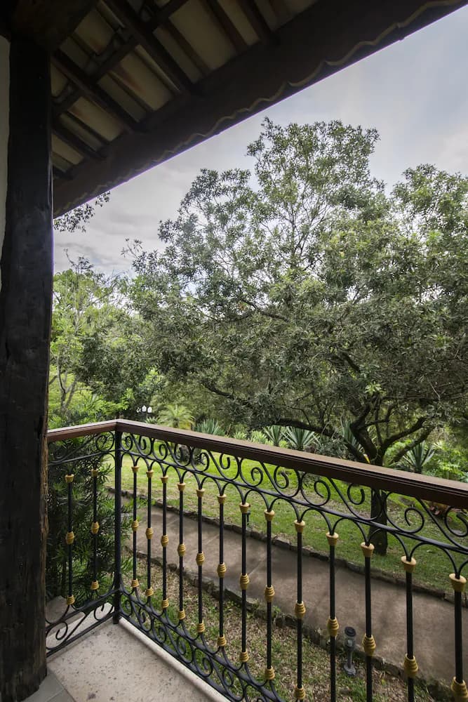View from room