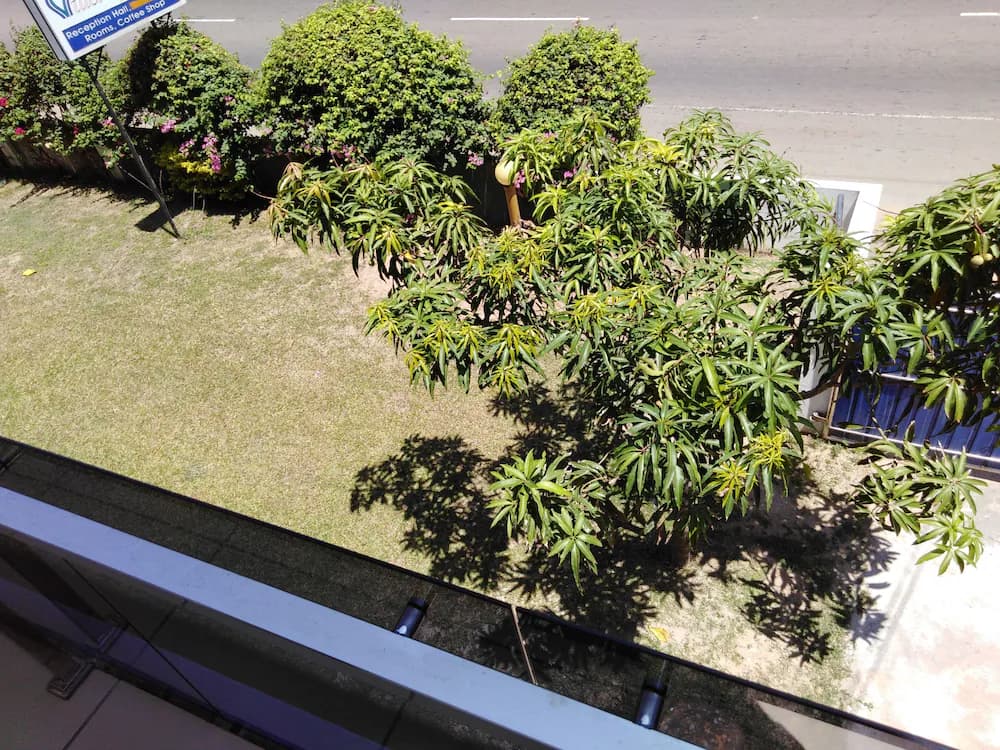 View from room