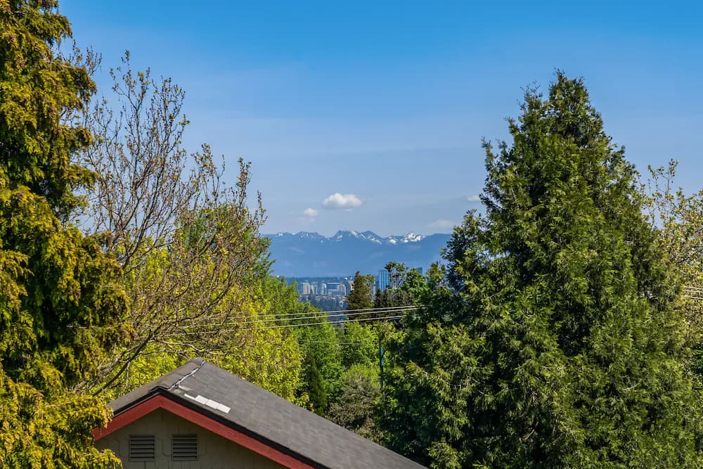 Mountain view
