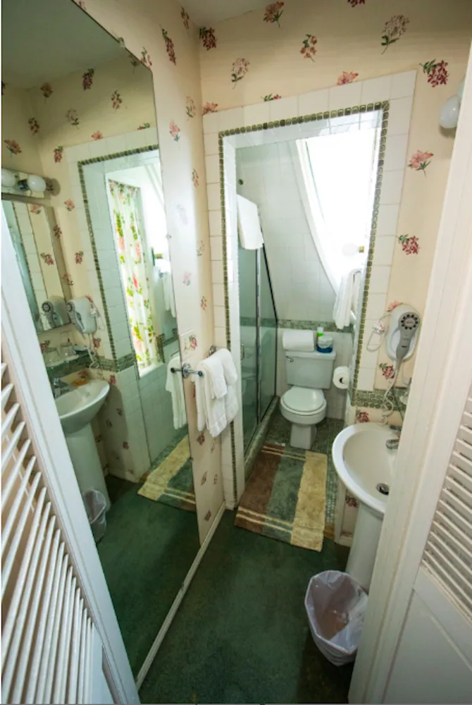 Bathroom shower