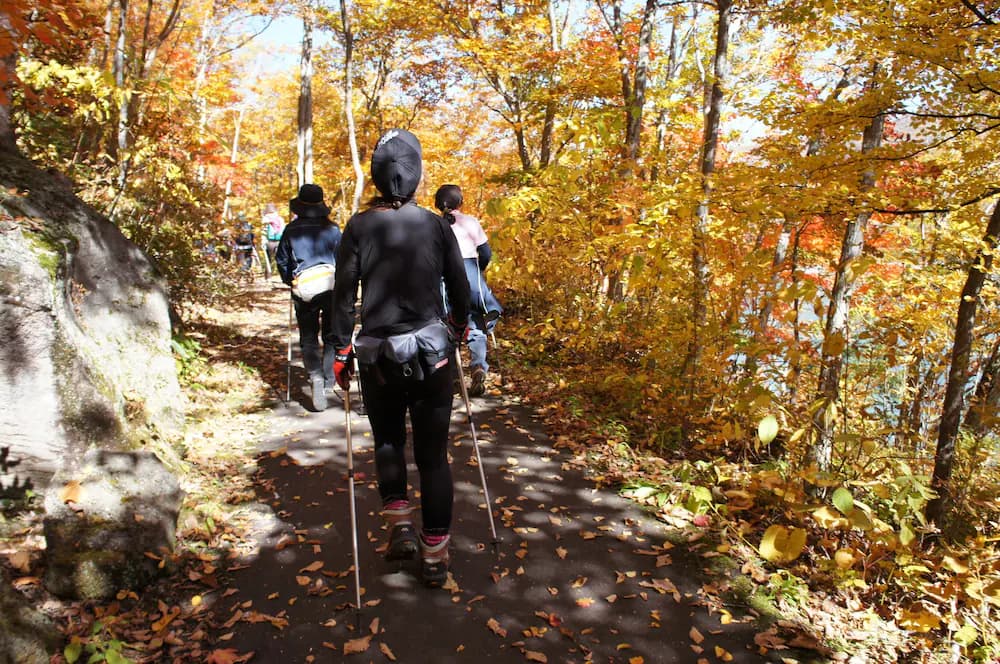 Hiking