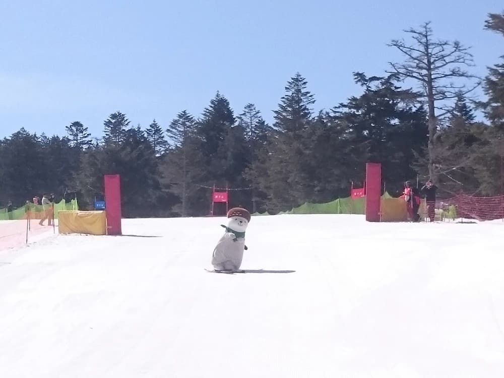 Snow and ski sports