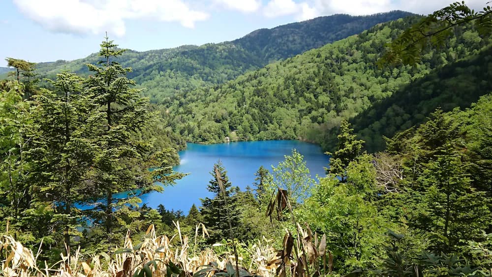 Hiking