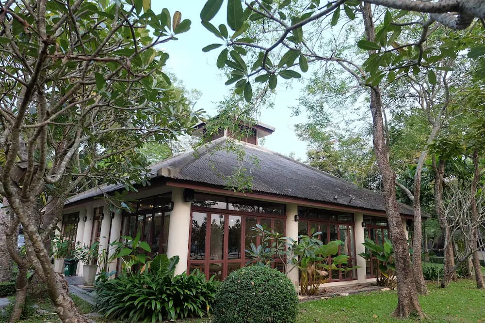 Garden view