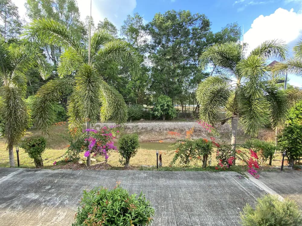 Garden view