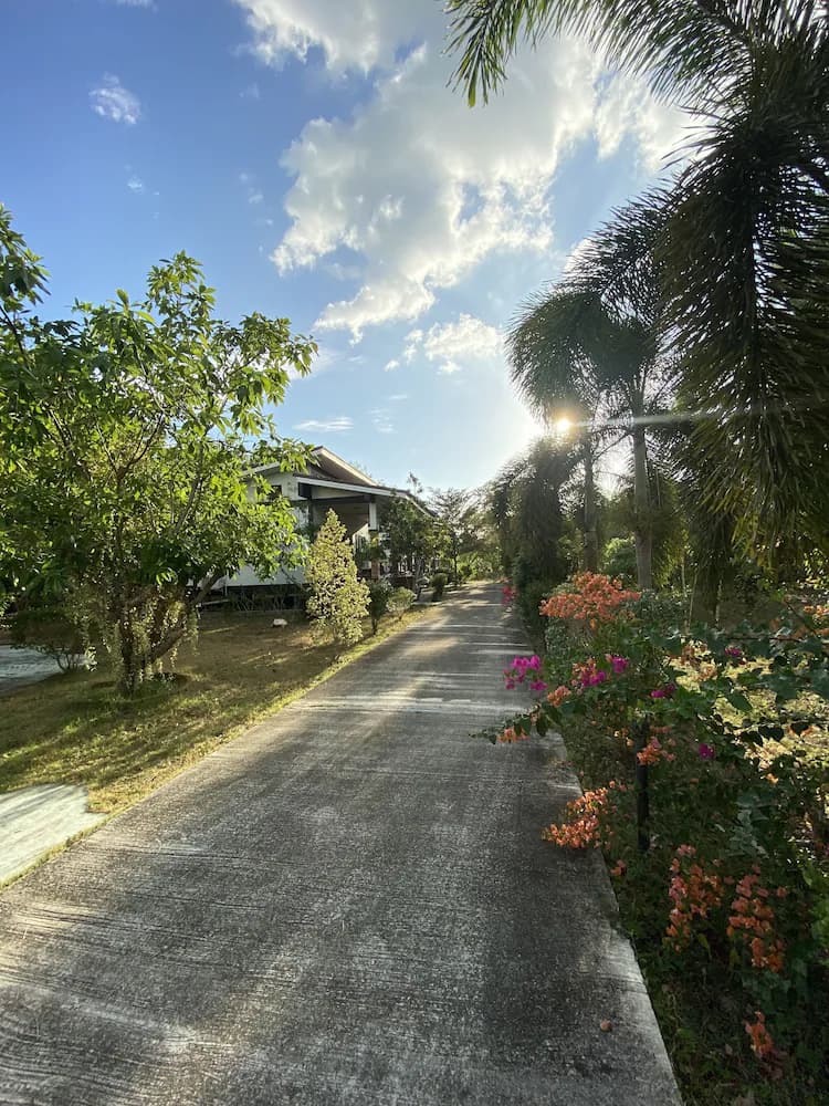 Garden view