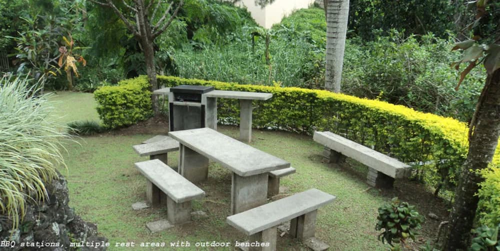 BBQ/picnic area